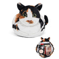 GKIOYRO Cute Coin Purse for Women Cute Cat Change Purse Cute Wallet for Women Kitty Coin Wallet Purse Coin Pouch Cat Money Bag Makeup Bag Organizer Makeup Pouch for Purse (Calico Cat)