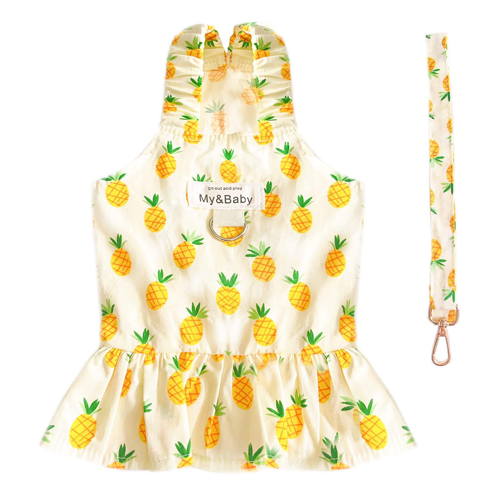 PETPUBGNZS Small Dog Dress Harness and Leash Set Cute Princess Birthday Dog Dresses Soft Fruit Print Puppy Dresses Girl Dog Clothes for Small Dogs Cats Chihuahua Yorkie Shih Tzu (Yellow PineappleM)
