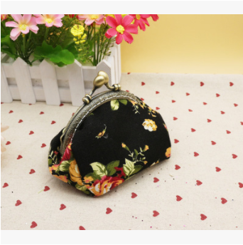 Creative Canvas Coin Purse with Gold Material