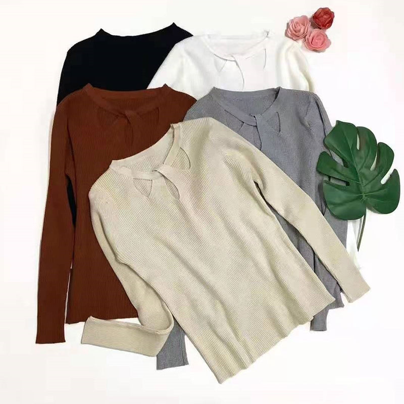 Slim Elastic Women's Sexy Hollow Sweater