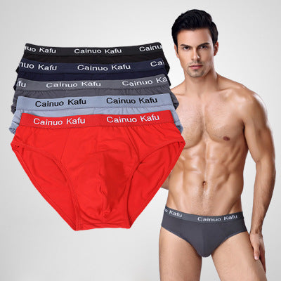Men's Youth Fashion Sexy Briefs for Students