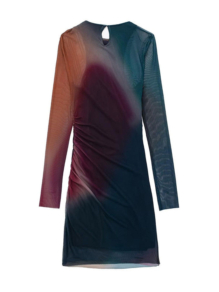 Sexy Women Tulle Printed Mini Dresses Vintage Female Slim Dresses Beach Party Long Sleeve O-neck Vestidos Mujer