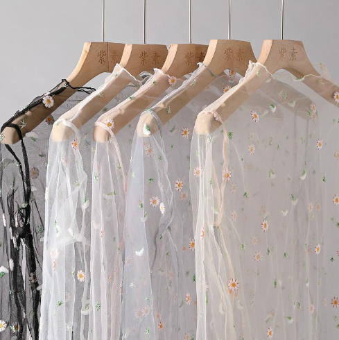 Sexy Sheer Embroidered Top for Women