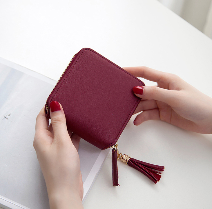 Fringe Mini Wallet, Square Zipper Purse