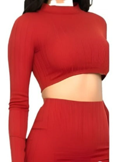 Sexy Ribbed Crop Tee & Thigh Skirt Set
