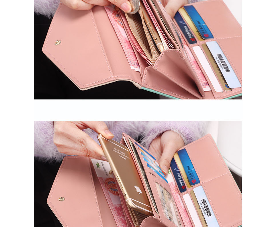 Wallet, Clutch, and Coin Purse Collection