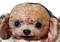 Dog-Themed Fashion Wallet and Coin Purse