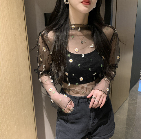 Sexy Sheer Embroidered Top for Women