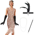 ODOLDI Flapper Costumes for Women Gold Flapper Dress 1920s Gold Sequin Fringe Dresses Gatsby Flapper Dresses with Flapper Headpiece Necklace Accessories Set Roaring 20s Costumes Pink 4PCS Large